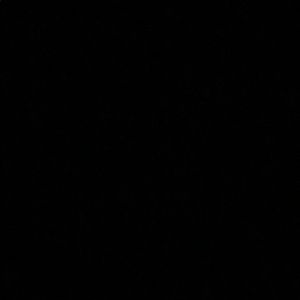 Meet your Posher, Jack